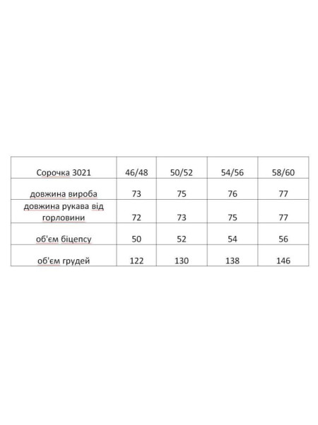 Сорочка льон смуги 