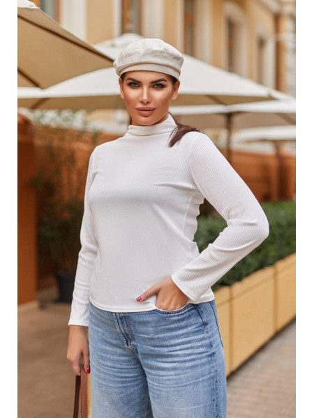 Гольф водолазка /1