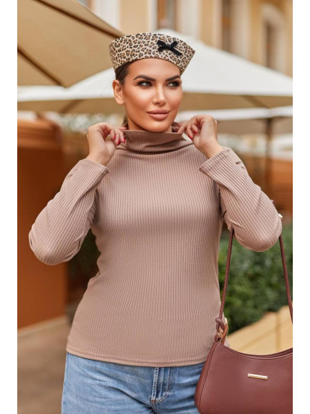 Гольф водолазка /1