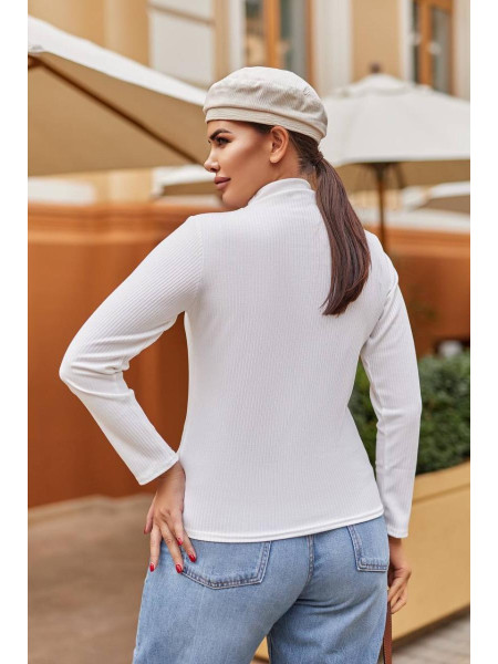 Гольф водолазка /1