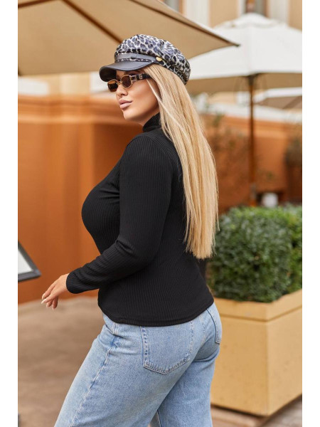 Гольф водолазка /1