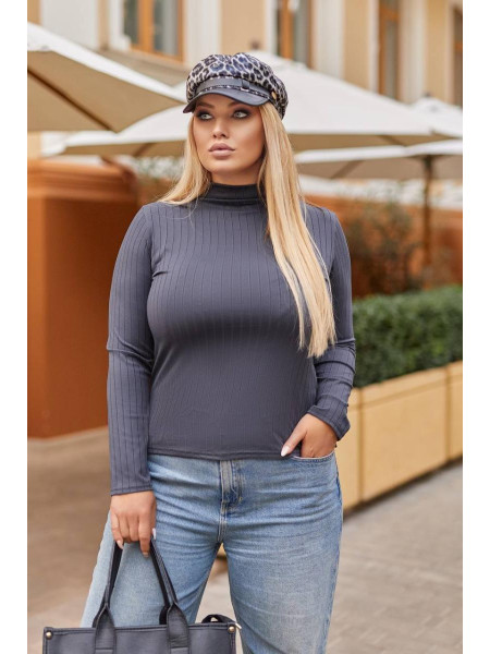 Гольф водолазка /1