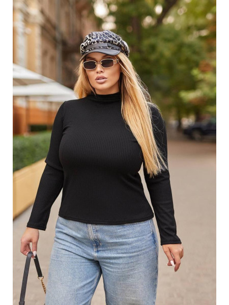 Гольф водолазка /1