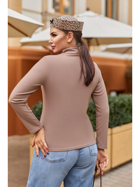 Гольф водолазка /1