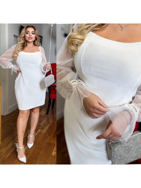 Вечіря сукня сітка рукава 