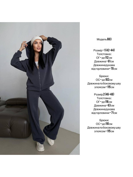 Костюм толстовка на блискавці 