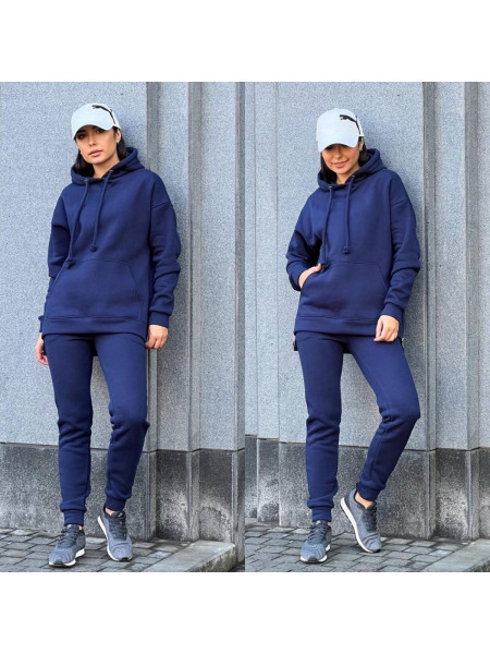 Спортивний якісний костюм із змійками на флісі 