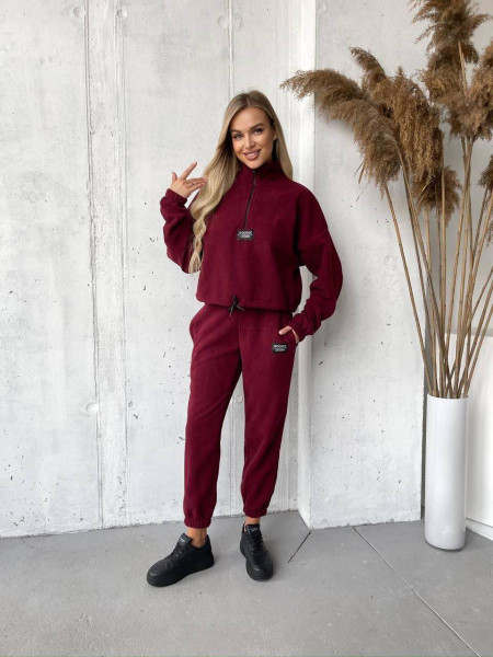 Флісовий спортивний костюм 