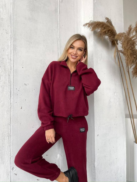 Флісовий спортивний костюм 