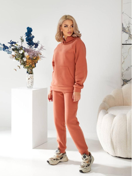 Спортивний дешевий костюм на флісі 